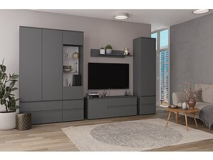 Мебель для гостиной ТЭКС Плейона (графит серый)